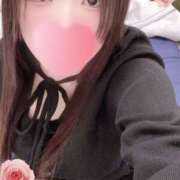 ヒメ日記 2026/02/18 23:38 投稿 ミモザ 飾窓