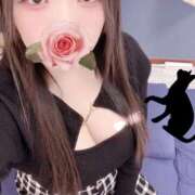 ヒメ日記 2026/02/19 12:00 投稿 ミモザ 飾窓