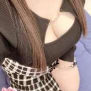 ヒメ日記 2026/02/19 18:10 投稿 ミモザ 飾窓