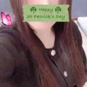 ヒメ日記 2026/02/20 18:21 投稿 ミモザ 飾窓