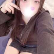 ヒメ日記 2026/02/21 12:00 投稿 ミモザ 飾窓