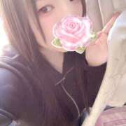 ヒメ日記 2026/02/21 15:00 投稿 ミモザ 飾窓