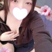 ヒメ日記 2026/02/21 18:00 投稿 ミモザ 飾窓