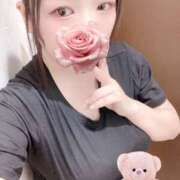 ヒメ日記 2026/02/22 12:40 投稿 ミモザ 飾窓