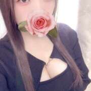 ヒメ日記 2026/02/23 12:00 投稿 ミモザ 飾窓