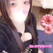 ヒメ日記 2026/02/23 15:00 投稿 ミモザ 飾窓