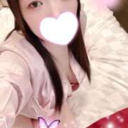 ヒメ日記 2026/02/23 20:07 投稿 ミモザ 飾窓