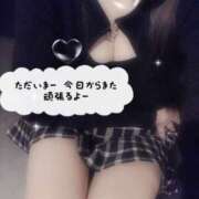 ヒメ日記 2026/02/26 08:00 投稿 ミモザ 飾窓