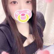 ヒメ日記 2026/02/26 18:00 投稿 ミモザ 飾窓