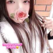 ヒメ日記 2026/02/27 12:30 投稿 ミモザ 飾窓