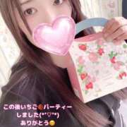 ヒメ日記 2026/02/27 16:08 投稿 ミモザ 飾窓