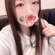 ヒメ日記 2026/03/01 12:01 投稿 ミモザ 飾窓