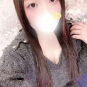 ヒメ日記 2026/03/02 12:00 投稿 ミモザ 飾窓