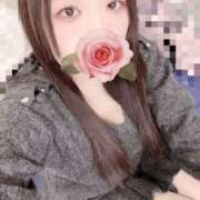 ヒメ日記 2026/03/02 15:00 投稿 ミモザ 飾窓