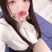 ヒメ日記 2026/03/03 12:00 投稿 ミモザ 飾窓