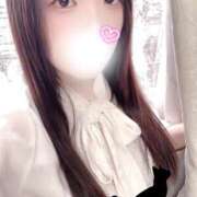 ヒメ日記 2026/03/03 15:00 投稿 ミモザ 飾窓