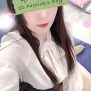 ヒメ日記 2026/03/03 18:30 投稿 ミモザ 飾窓