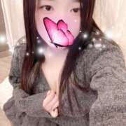 ヒメ日記 2026/03/03 22:40 投稿 ミモザ 飾窓