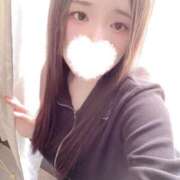 ヒメ日記 2026/03/04 15:10 投稿 ミモザ 飾窓