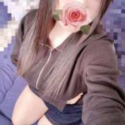 ヒメ日記 2026/03/04 18:06 投稿 ミモザ 飾窓