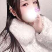 ミモザ お出かけなう( ´∀｀) 飾窓