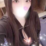 ミモザ マイブーム(*^_^*) 飾窓