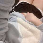 ヒメ日記 2026/03/08 09:02 投稿 ミモザ 飾窓