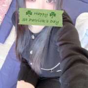 ヒメ日記 2026/03/08 15:00 投稿 ミモザ 飾窓