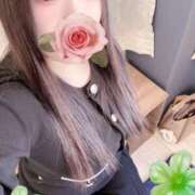 ヒメ日記 2026/03/08 22:45 投稿 ミモザ 飾窓