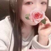 ヒメ日記 2026/03/09 15:00 投稿 ミモザ 飾窓