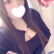 ヒメ日記 2026/03/11 12:00 投稿 ミモザ 飾窓