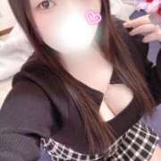 ヒメ日記 2026/03/11 15:10 投稿 ミモザ 飾窓