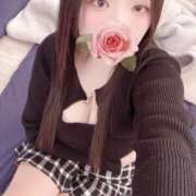 ヒメ日記 2026/03/11 18:02 投稿 ミモザ 飾窓