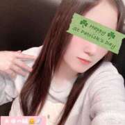 ヒメ日記 2026/03/13 08:00 投稿 ミモザ 飾窓