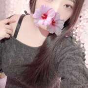 ヒメ日記 2026/03/13 16:30 投稿 ミモザ 飾窓