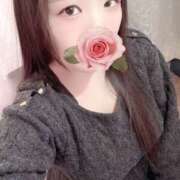 ヒメ日記 2026/03/13 18:30 投稿 ミモザ 飾窓