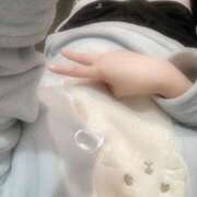 ヒメ日記 2026/03/14 08:30 投稿 ミモザ 飾窓