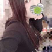 ヒメ日記 2026/03/14 18:00 投稿 ミモザ 飾窓