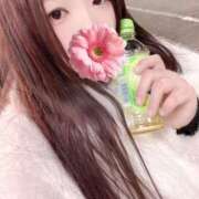 ヒメ日記 2026/03/14 22:16 投稿 ミモザ 飾窓