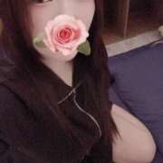 ヒメ日記 2026/03/15 15:00 投稿 ミモザ 飾窓