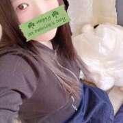 ヒメ日記 2026/03/15 18:00 投稿 ミモザ 飾窓