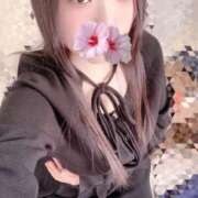 ヒメ日記 2026/03/16 12:00 投稿 ミモザ 飾窓