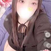 ヒメ日記 2026/03/16 18:30 投稿 ミモザ 飾窓