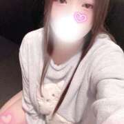 ヒメ日記 2026/03/17 12:00 投稿 ミモザ 飾窓