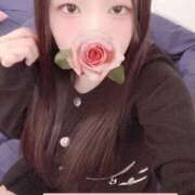 ヒメ日記 2026/03/18 12:20 投稿 ミモザ 飾窓