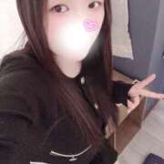 ヒメ日記 2026/03/18 15:10 投稿 ミモザ 飾窓