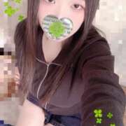 ヒメ日記 2026/03/19 12:00 投稿 ミモザ 飾窓