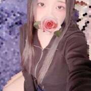 ヒメ日記 2026/03/19 15:00 投稿 ミモザ 飾窓