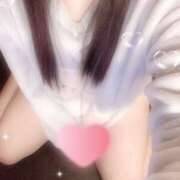 ヒメ日記 2026/03/20 08:30 投稿 ミモザ 飾窓