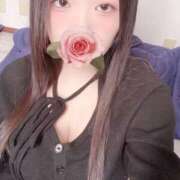 ヒメ日記 2026/03/20 12:10 投稿 ミモザ 飾窓